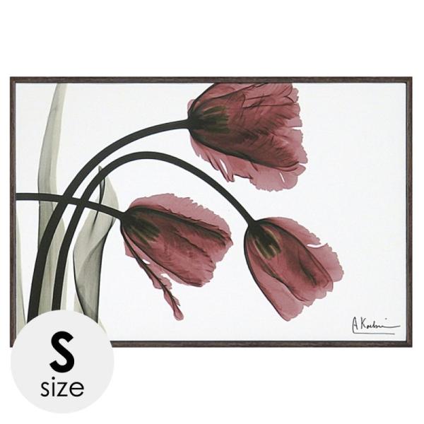 x-ray A[gt[ LoXA[g  A[gpl _  Ǌ|  CeA A[g G t[t X RAY LoXA[g tW