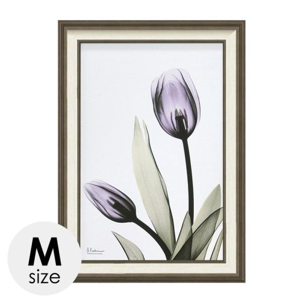 x-ray A[gt[ LoXA[g  A[gpl _  Ǌ|  CeA A[g G t[t X RAY LoXA[g `[