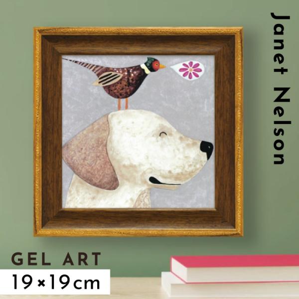 �����ȥѥͥ� �����ȥե졼�� ����� ���� �� ưʪ �� ���襤�� �̲� �ɳݤ� ��� ����ƥꥢ ������ ������ ����ù� �ߥ˥��� �����ȥե졼�� ����ͥå� �ͥ륽��֥ե������ �ߡ����塼��