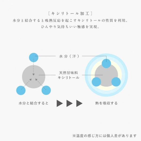 椅子カバー 2枚組 チェアカバー キルト 座面 背もたれ ダイニングチェアカバー 椅子カバー 冷感 さわやかキルトチェアカバー 北欧 チェアシートカバー Buyee Buyee 提供一站式最全面最專業現地yahoo Japan拍賣代bid代拍代購服務 Bot Online