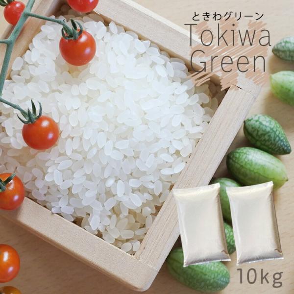 国産米15キロ‼️1.5キロ×10袋‼️今週限定商品‼️ 即納品】韓国産 お米 20kg(10kg×2袋) 精米 令和6年産 白米
