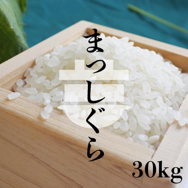 【令和4年新米】まっしぐら　25kg 青森米　上白米 令和4年新米】まっしぐら 25kg 青森米 上白米