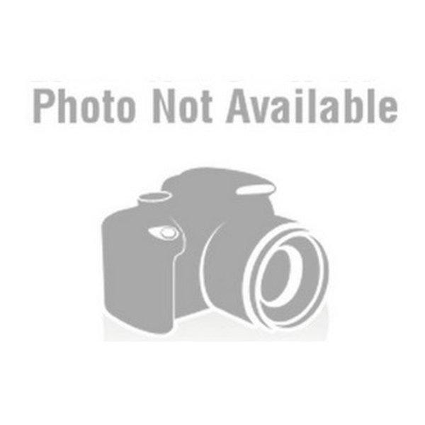 DAYTONA デイトナ ドライブレコーダー M777D 補修品 リアカメラ 約0.2m