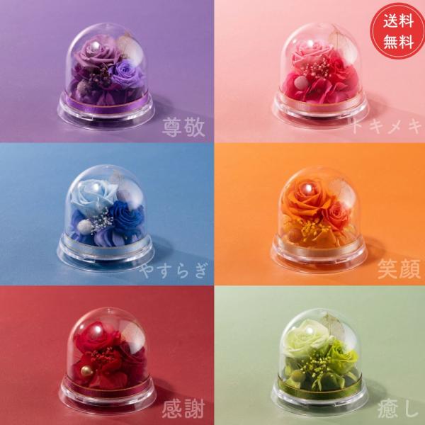 敬老の日 プリザーブドフラワー 選べる6色「ハピネス・ドーム」 花 宅配 プレゼント ギフト 祝い 祖母 祖父 2026 70代 60代 秋 赤 緑 青 ピンク オレンジ 紫