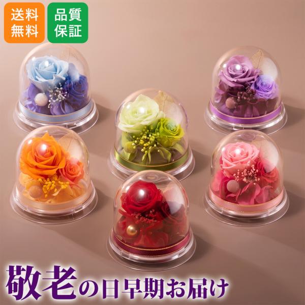 敬老の日 早期お届け プリザーブドフラワー「ハピネス・ドーム」 花 宅配 プレゼント ギフト 祝い 祖母 祖父 2026 80代 70代 60代 秋