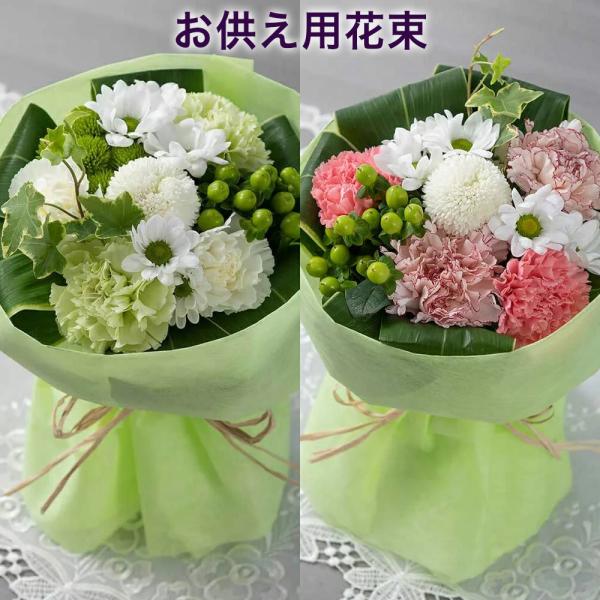   ԑ   Iׂ2J[uDԁv Fd   u[P J[l[V ~ ފ  e