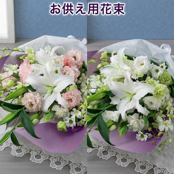   ԑ   Iׂ2J[ uԕ̂v Fd   u[P ~ ފ   J[l[V e