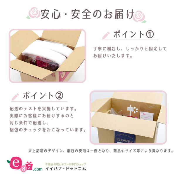 観葉植物 ドラセナ ユッカ 6号 おしゃれ 陶器鉢 インテリア 引っ越し祝い 友達 プレゼント メッセージ Buyee Buyee Jasa Perwakilan Pembelian Barang Online Di Jepang