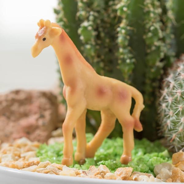 サボテン 寄せ植え サファリ フレンズ ギフト プレゼント インテリア Buyee Buyee 提供一站式最全面最专业现地yahoo Japan拍卖代bid代拍代购服务 Bot Online