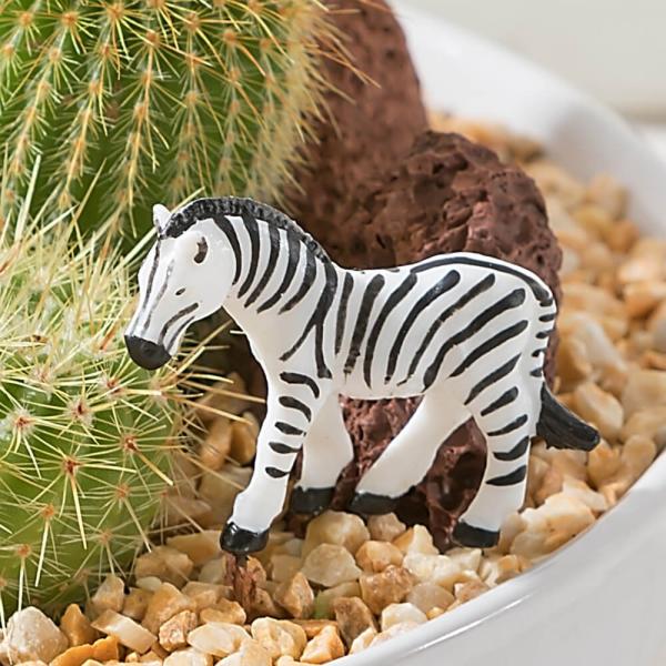 サボテン 寄せ植え サファリ フレンズ ギフト プレゼント インテリア Buyee Buyee 提供一站式最全面最专业现地yahoo Japan拍卖代bid代拍代购服务 Bot Online