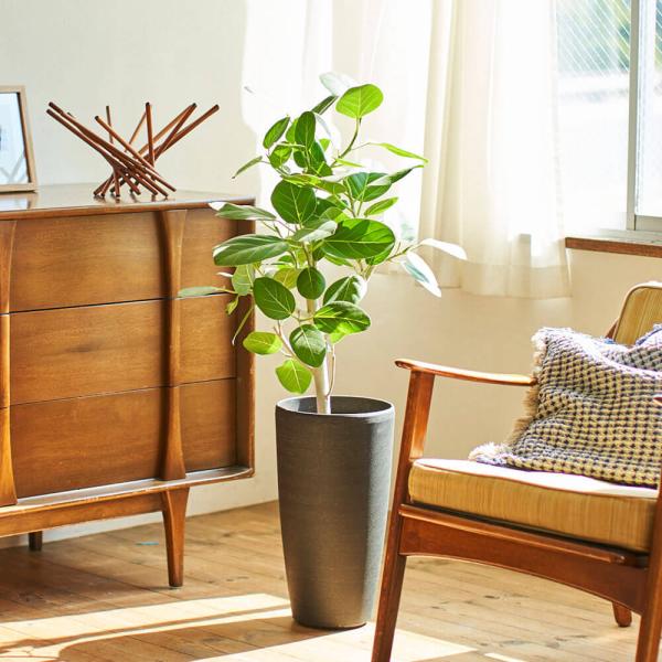 ϗtAutBJXExKVX 7v 7  zj FB v[g Mtg CeA