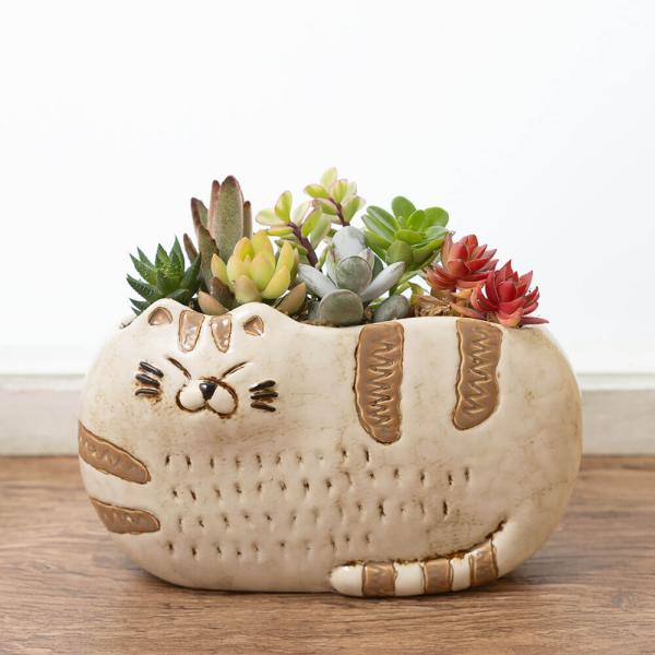 笑顔届ける癒しの贈り物のんびりくつろぐ猫さんにキュン！のんびりひなたぼっこしながらウトウトしている猫さん。愛嬌たっぷりの表情に見ているだけで癒されます。ほっこり癒されるインテリアグリーン優しく温かみのある陶器でできた猫さんの器に多肉植物を植...