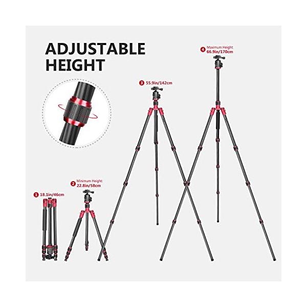 Neewer カーボンファイバー製三脚一脚 160cm 雲台付き 年中無休 耐荷重15kg 並行輸入品 赤