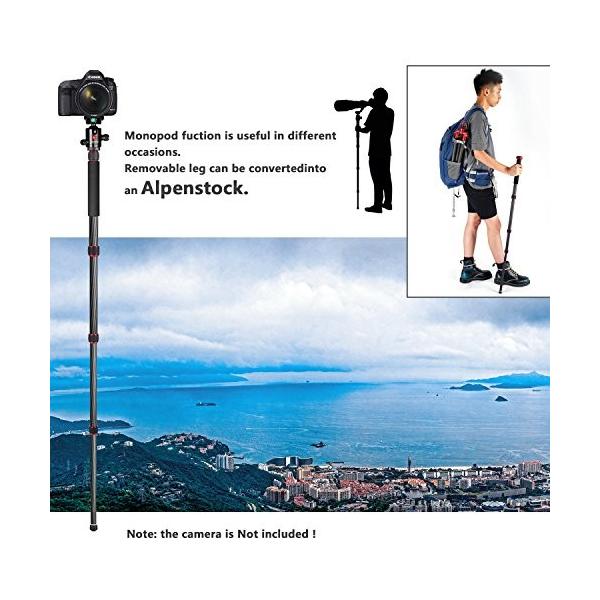 Neewer カーボンファイバー製三脚一脚 160cm 雲台付き 年中無休 耐荷重15kg 並行輸入品 赤