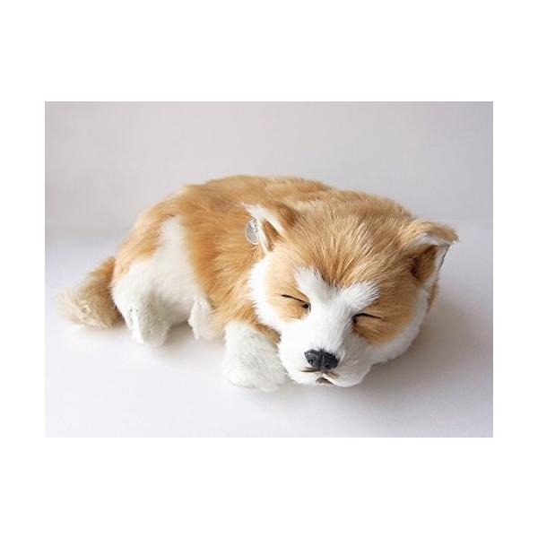 本物そっくりに眠る犬のぬいぐるみパーフェクトペット柴犬 小 人気ショップが最安値挑戦