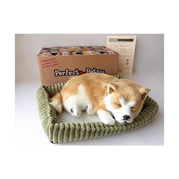 本物そっくりに眠る犬のぬいぐるみパーフェクトペット柴犬 小 結婚祝い