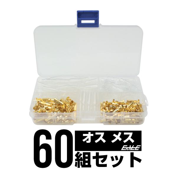 【送料込み】琴（金色のソフトケース付き） eale_i-416