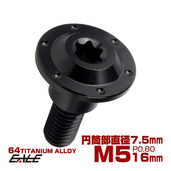 チタン 段付きボルト M5×16mm P0.8 円筒部直径7.5mm ホールヘッド