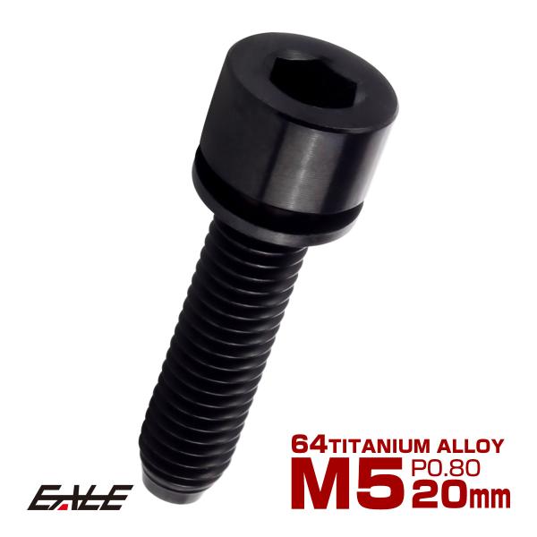 チタンボルト M5×20mm P0.8 ワッシャー組込 六角穴 キャップボルト