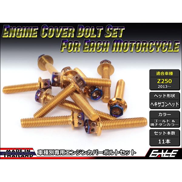 Z250(ER250) GWJo[ {g11{set tWtZp{g CTCwLTSwbh S[hă`^J[ TB8060