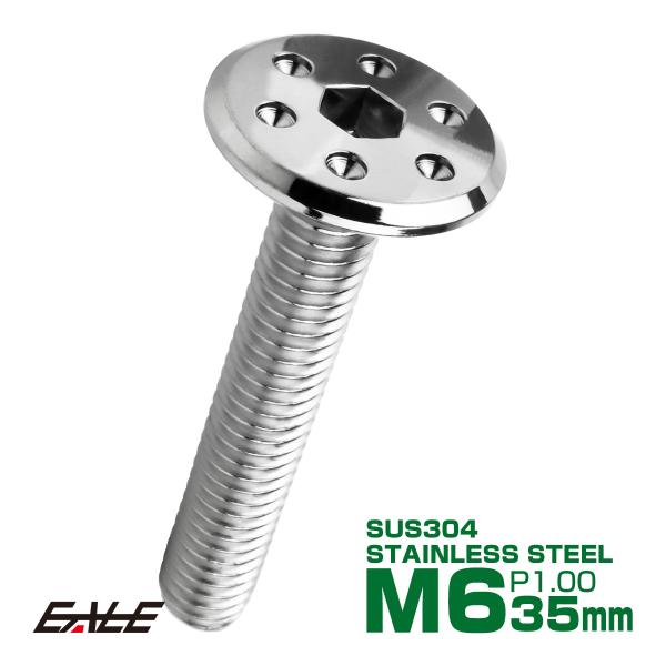 ステンレスボルト M6×35mm P1.0 ホールヘッド フラット 六角穴付 ボタンボルト SUS304 シルバー TR0951