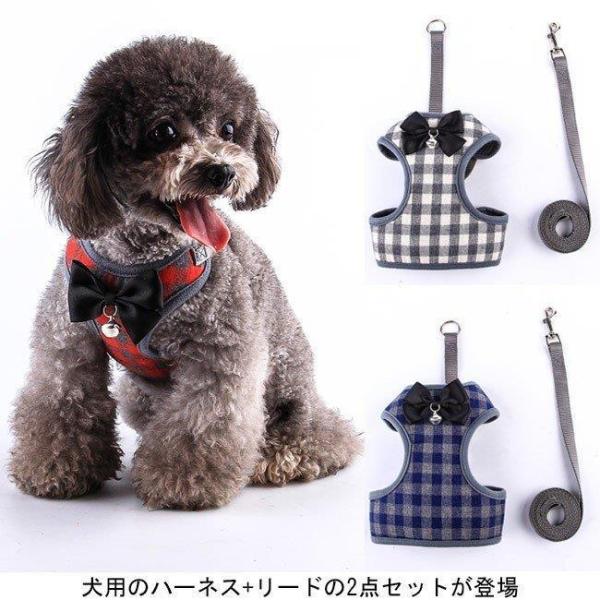 在庫処分 返品交換不可 犬服 ハーネス Amp リード ２点セット ドッグウエア 小型犬 ペット服 チェック柄 中型犬 犬用 胴輪 Nz Cw1 E G 通販 Yahoo ショッピング