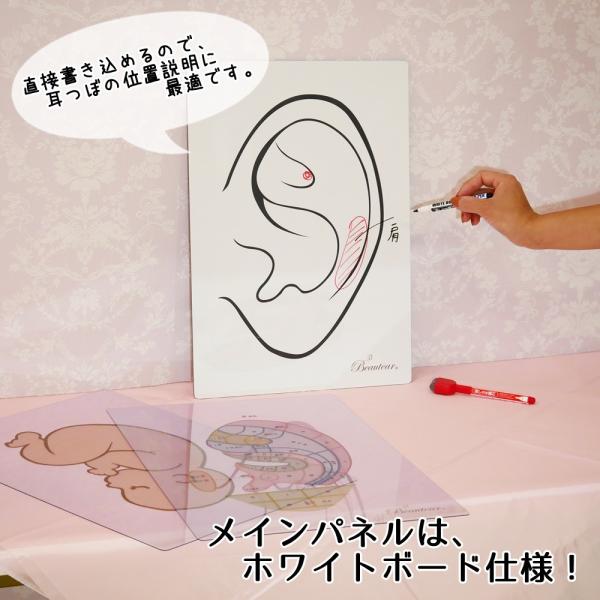 想像を超えての 1点3枚組セット 耳つぼ専用 パネル ホワイトボード クリアパネル 講座用ボード 耳イラスト 耳つぼ Beautear 代引不可 Zoetalentsolutions Com