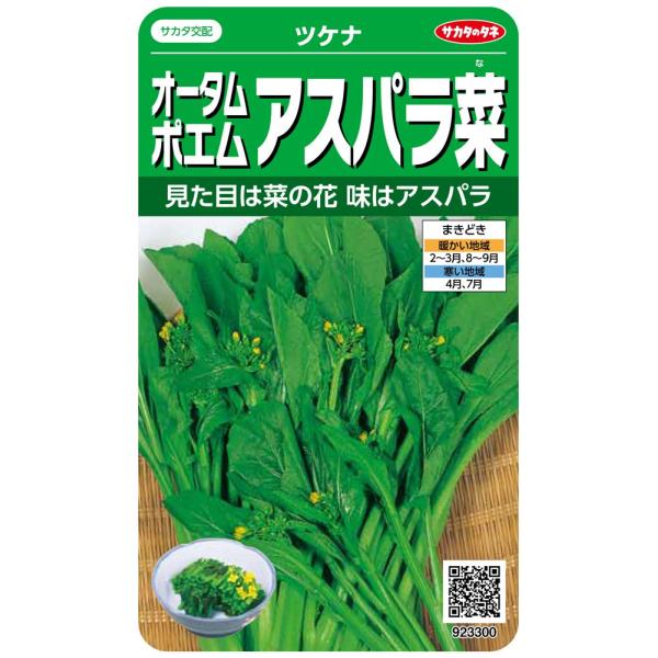 【ご購入後の当店からの連絡はご登録のメールアドレスに通知いたします。必ずご確認ください】【商品概要】切替月:6月詰量:2ml発芽率:85%採苗本数:250春秋扱い:春秋兼用種まきどき:春・秋【商品説明】【商品詳細】ブランド：サカタのタネ商品...