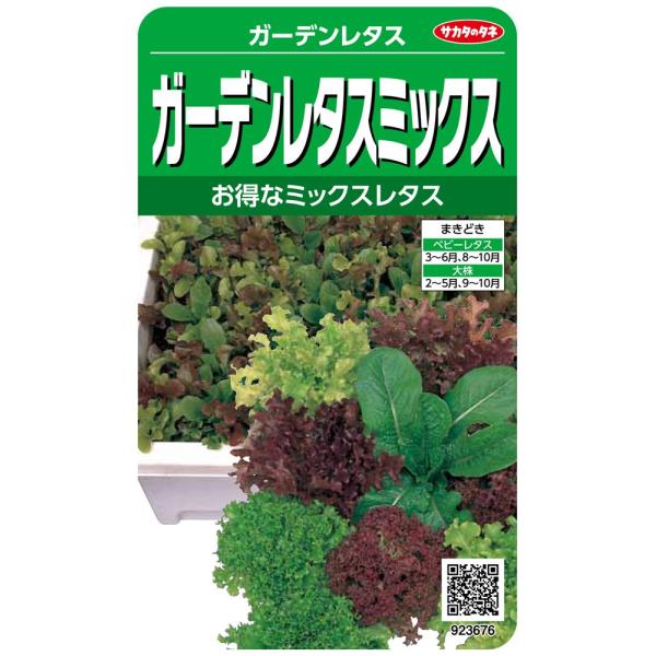 【ご購入後の当店からの連絡はご登録のメールアドレスに通知いたします。必ずご確認ください】【商品概要】切替月:6月詰量:4ml発芽率:85%採苗本数:1000春秋扱い:春秋兼用種まきどき:春・秋【商品説明】【商品詳細】ブランド：サカタのタネ商...