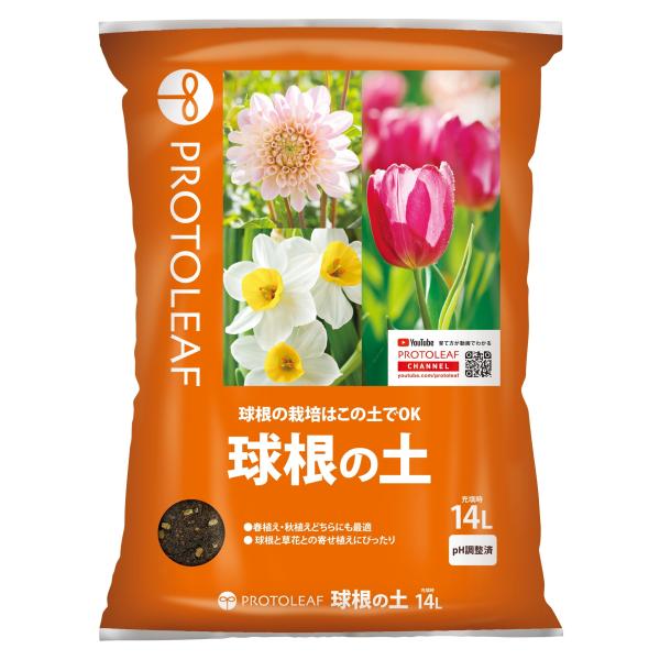【ご購入後の当店からの連絡はご登録のメールアドレスに通知いたします。必ずご確認ください】