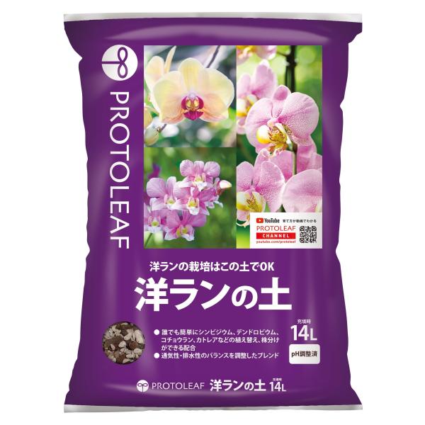 【ご購入後の当店からの連絡はご登録のメールアドレスに通知いたします。必ずご確認ください】