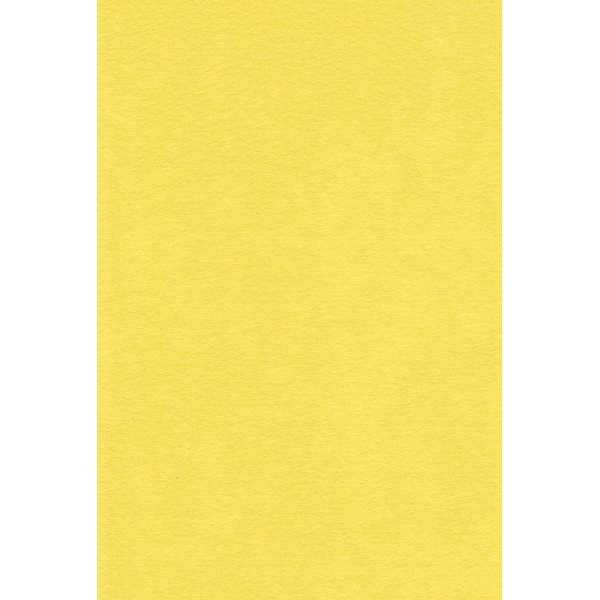 【ご購入後の当店からの連絡はご登録のメールアドレスに通知いたします。必ずご確認ください】