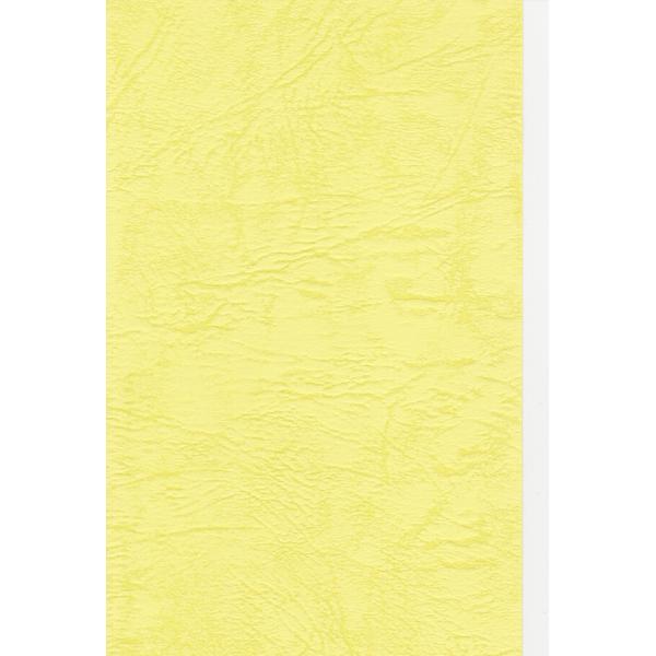 【ご購入後の当店からの連絡はご登録のメールアドレスに通知いたします。必ずご確認ください】【商品概要】21.0×29.7cm材質:パルプ・アシッドフリー寸法:A4判 210×297mm紙色:レモン【商品説明】【商品詳細】ブランド：エスケント商...