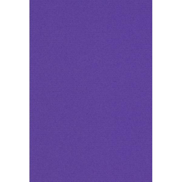【ご購入後の当店からの連絡はご登録のメールアドレスに通知いたします。必ずご確認ください】【商品概要】210mm×297mm材質:パルプ【商品説明】【商品詳細】ブランド：エスケント商品種別：ホビー商品名：エスケント 色画用紙 ミューズコットン...