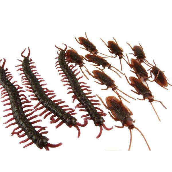 【ご購入後の当店からの連絡はご登録のメールアドレスに通知いたします。必ずご確認ください】