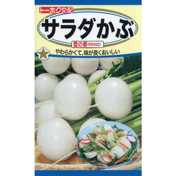 株式会社トーホク サラダかぶ 雪の華 04621