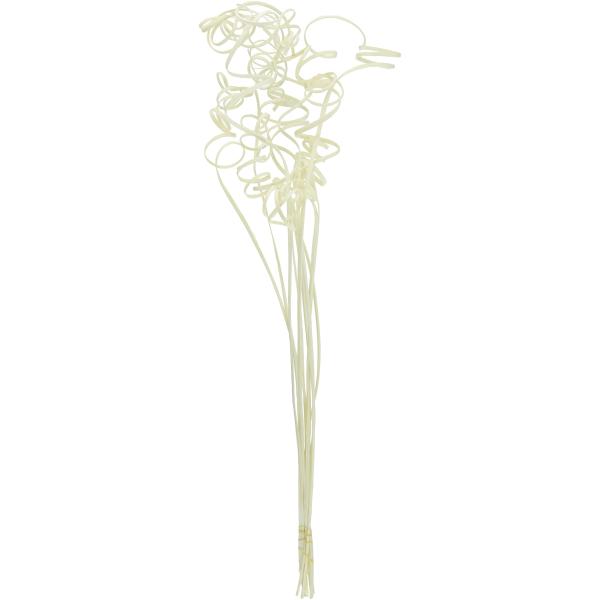 【ご購入後の当店からの連絡はご登録のメールアドレスに通知いたします。必ずご確認ください】