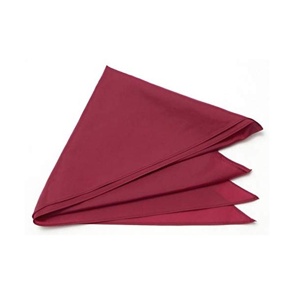 【ご購入後の当店からの連絡はご登録のメールアドレスに通知いたします。必ずご確認ください】【商品概要】ハネクトーン定番色(全7色)【商品説明】ハネクトーンのナイロンタフタの三角タイです。 <br> カラー:エンジ、濃エンジ、濃紺、...