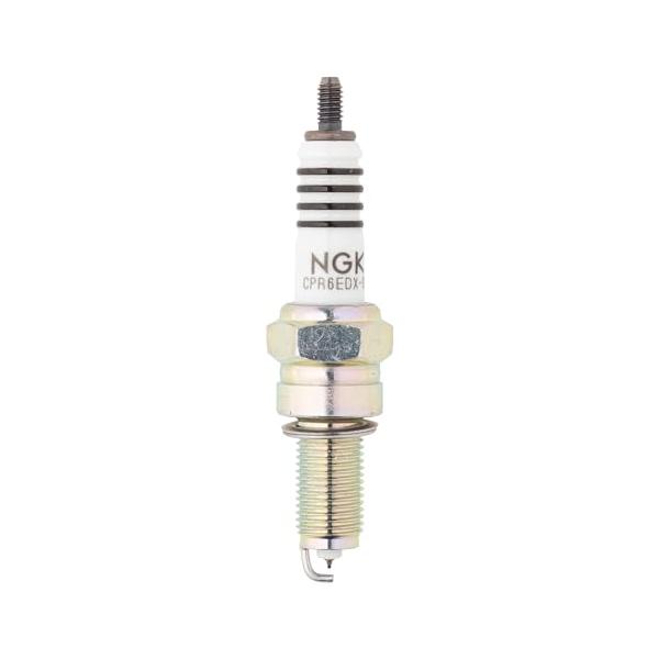 【ご購入後の当店からの連絡はご登録のメールアドレスに通知いたします。必ずご確認ください】