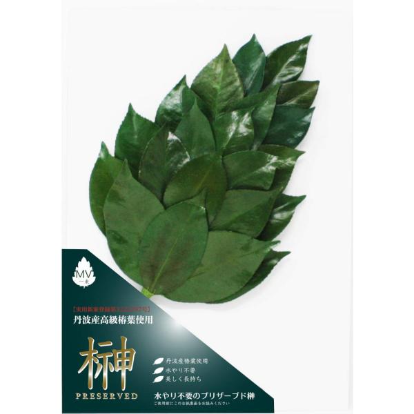 【ご購入後の当店からの連絡はご登録のメールアドレスに通知いたします。必ずご確認ください】