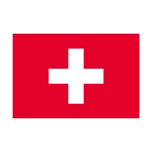 【ご購入後の当店からの連絡はご登録のメールアドレスに通知いたします。必ずご確認ください】【商品概要】●レザーハトメ加工（取付ひも付）●四方ミシン縫製【商品説明】【商品詳細】ブランド：東京製旗(Tokyo Seiki)商品種別：おもちゃ商品名...