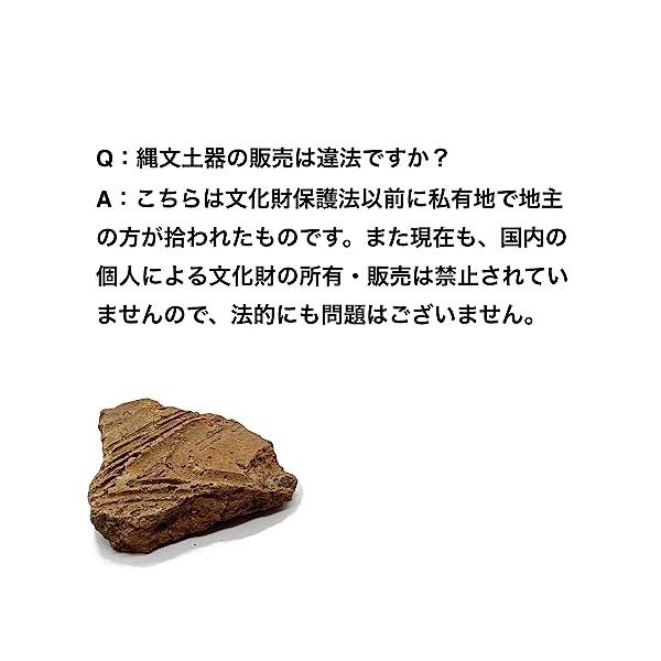 「縄文土器の欠片 No.481」です。 縄文土器の欠片 No.481」です。