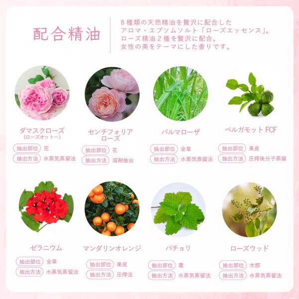 earth2001_ebs-025_5_d_20241217120139