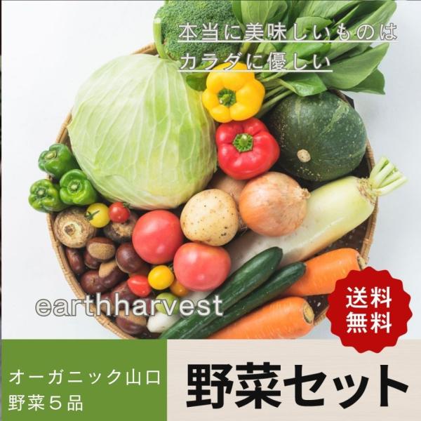 オーガニック山口のお野菜だけの詰め合わせ。一つ一つ丁寧に虫を取りながらの農薬を一切使わず環境にやさしい農法で作っているお野菜のアソートです。普段使いの野菜からちょっと珍しいお野菜まで心を込めて育てられたものばかりです。オーガニック山口のあけ...