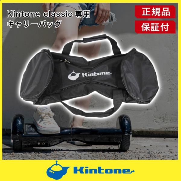 earthship_i-kintone-carrybag earthship_i-kintone-carrybag