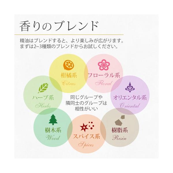 イランイラン1st 10ml 精油 エッセンシャルオイル アロマオイル Buyee Buyee Japanese Proxy Service Buy From Japan Bot Online