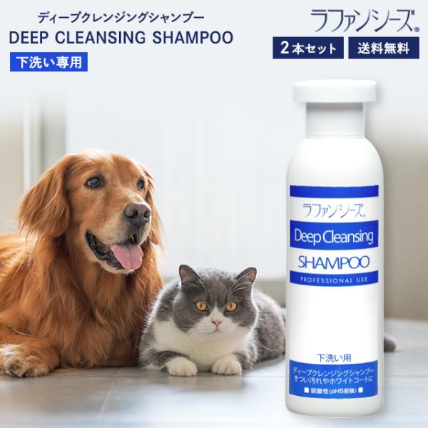 ラファンシーズ ディープクレンジング シャンプー 200ml 2個セット 下