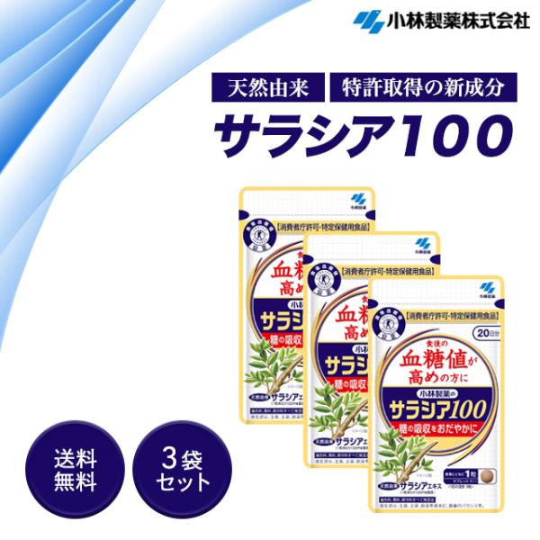 サラシア100 小林製薬 20日分 60粒 3袋セット サプリメント 特定保健用