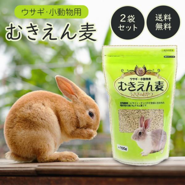 アラタ うさぎ・小動物用 むきえん麦 700g 2個セット うさぎ ウサギ