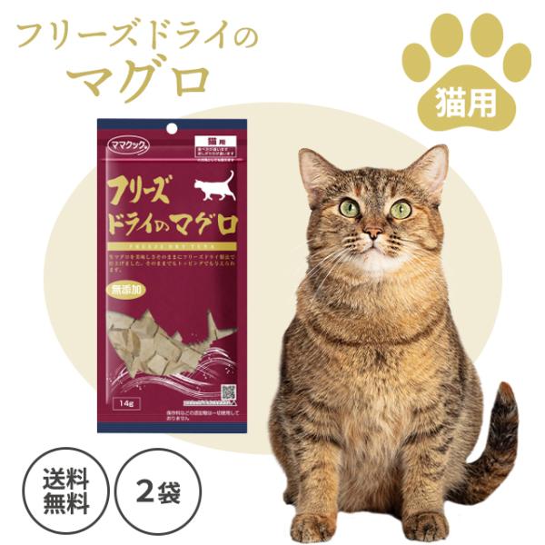 猫ママさま ママスママガジン